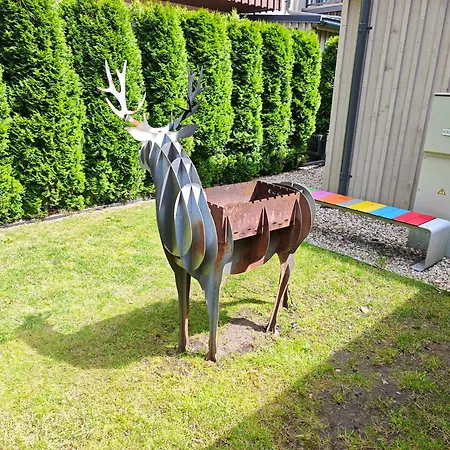 Ciki Puki Kunigiskiuose Appartement