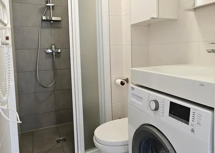 Ciki Puki Kunigiskiuose * Паланга